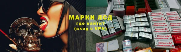 стафф Аркадак