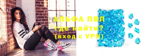 стафф Аркадак