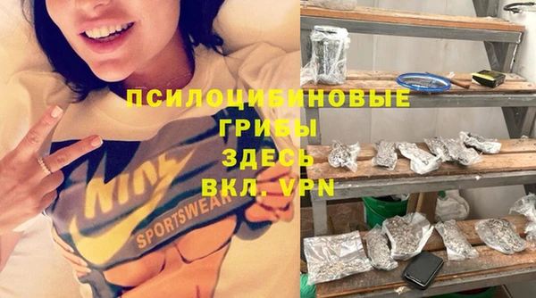 стафф Аркадак