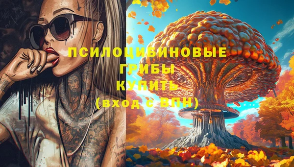 прущие крисы Армянск