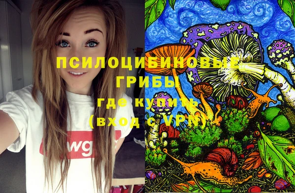 прущие крисы Армянск