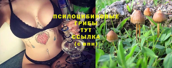 прущая мука Арсеньев