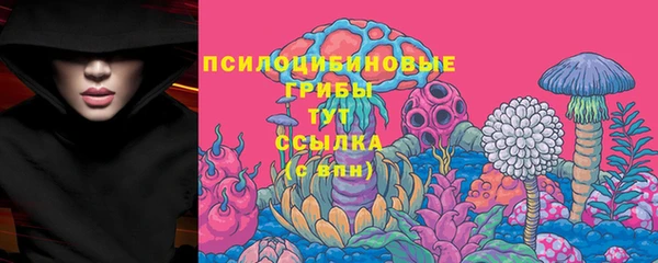 прущая мука Арсеньев