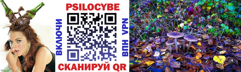 Псилоцибиновые грибы Psilocybine cubensis  Купить закладки  Гусиноозёрск 